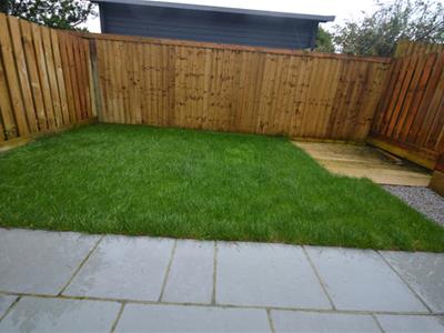 Picture 11